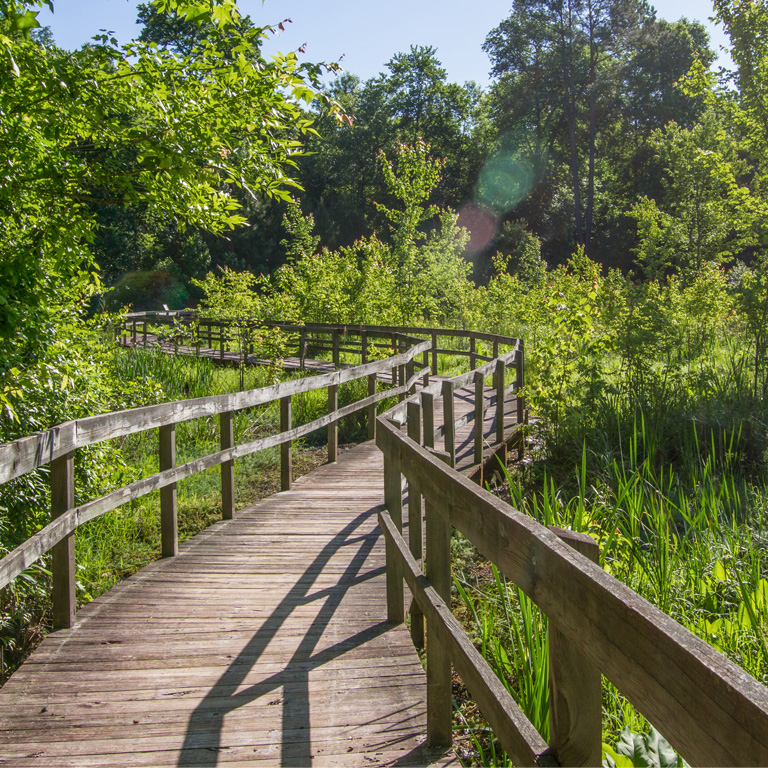 A boardwalk winds through the habitat at Newman Wetlands Park.