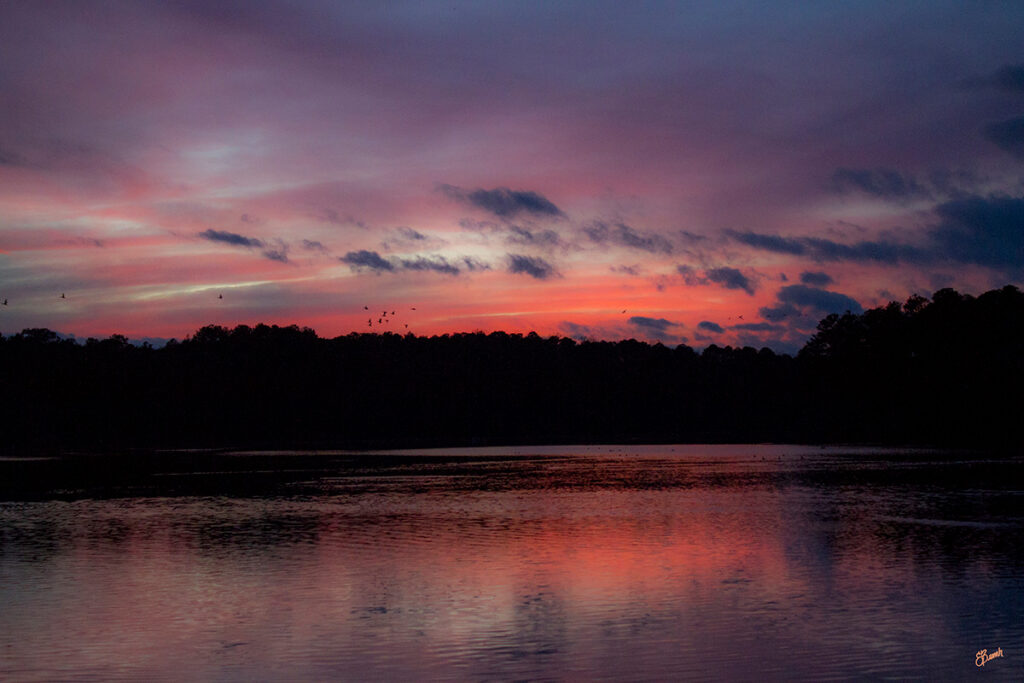 Sunset at Shamrock and Blalock Reservoirs & Recreation Area. © E. Danielle Bunch