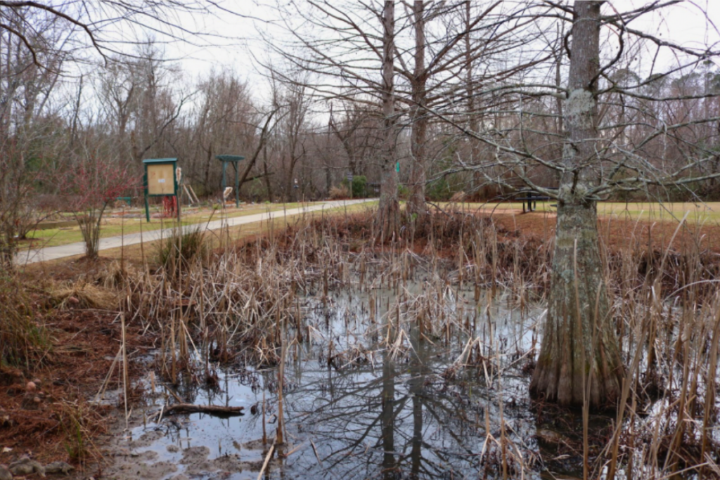 Reed Creek © Sara Micklos