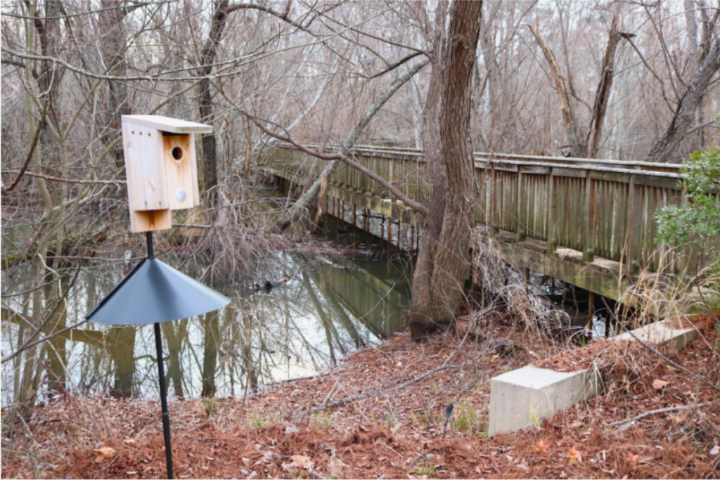 Reed Creek © Sara Micklos
