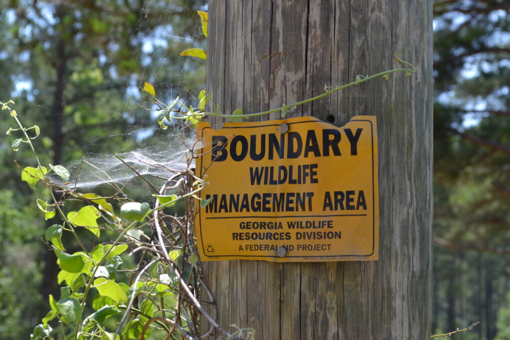 Alexander WMA boundary sign (GaDNR)
