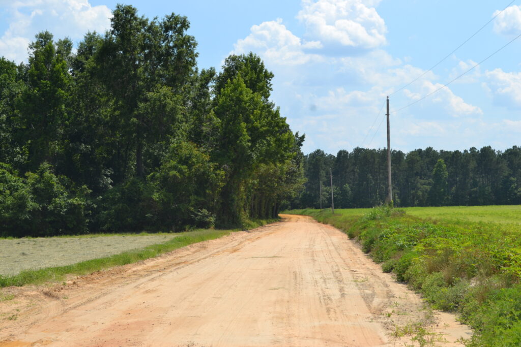 Alexander WMA road 2 (GaDNR)