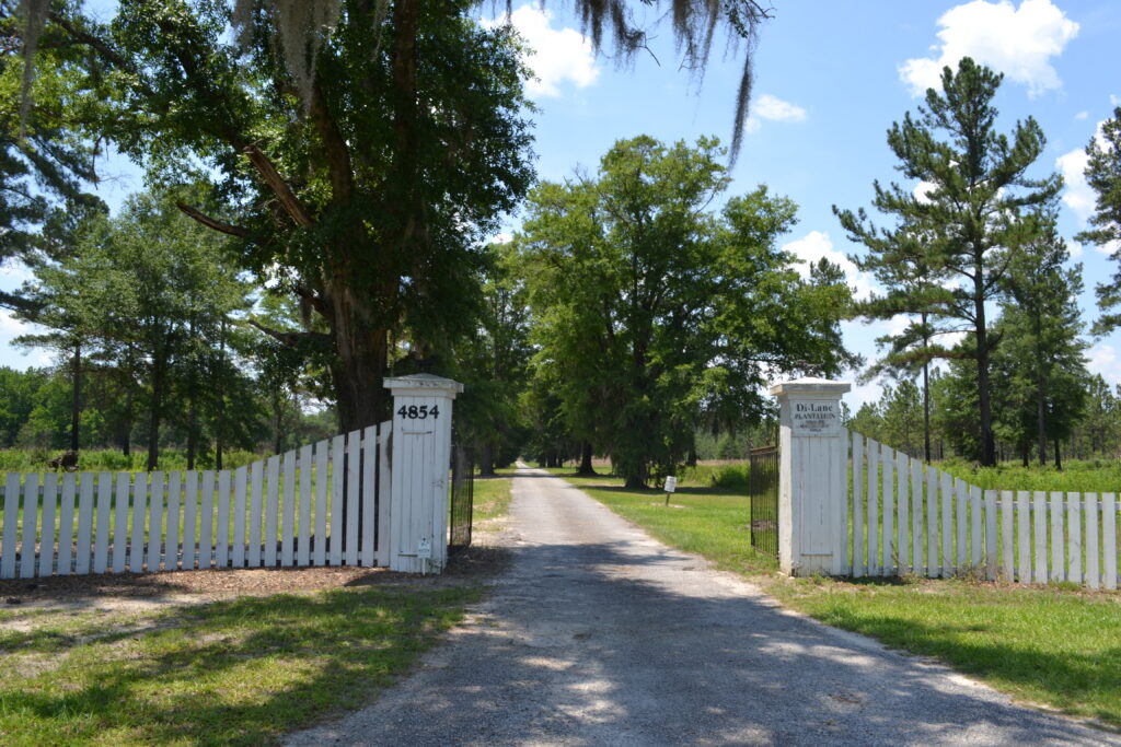 Di Lane Plantation WMA (GaDNR)