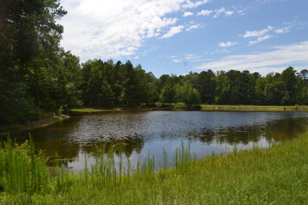 Joe Kurz WMA pond (GaDNR)