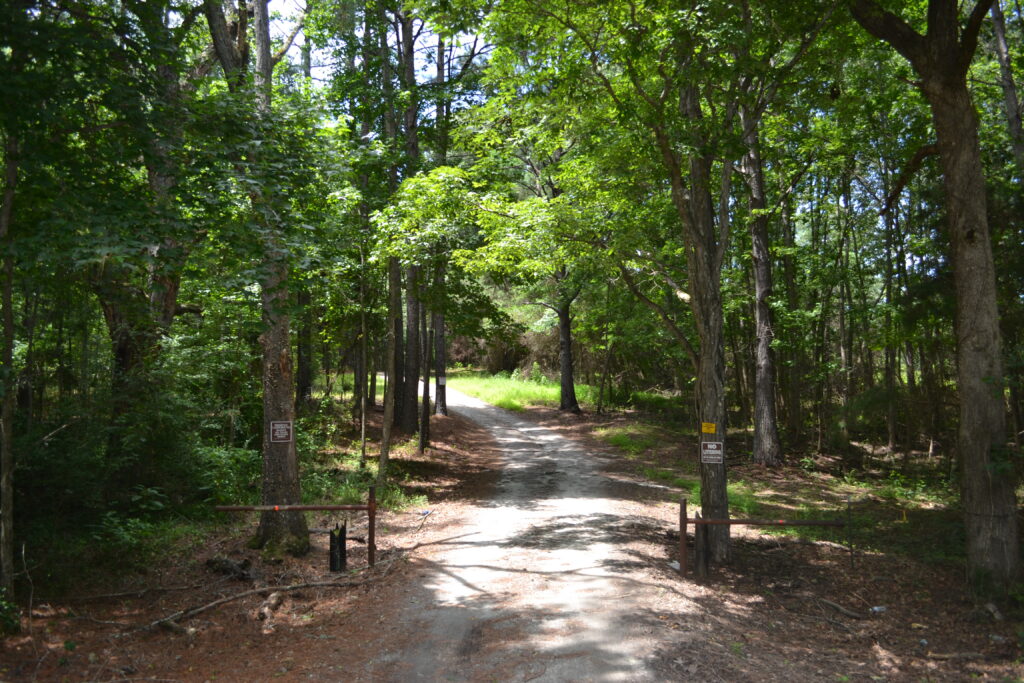 Joe Kurz WMA camping area (GaDNR)