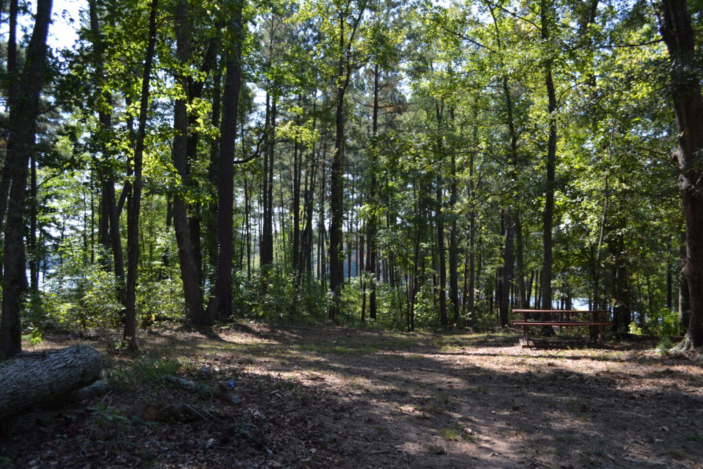 Marben PFA Lake Bennet picnic area (GaDNR)