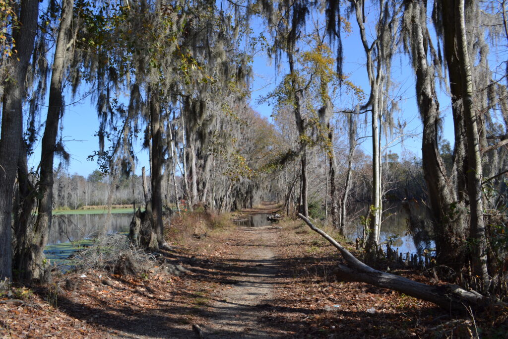 Phinizy Swamp WMA walking trail (GaDNR)