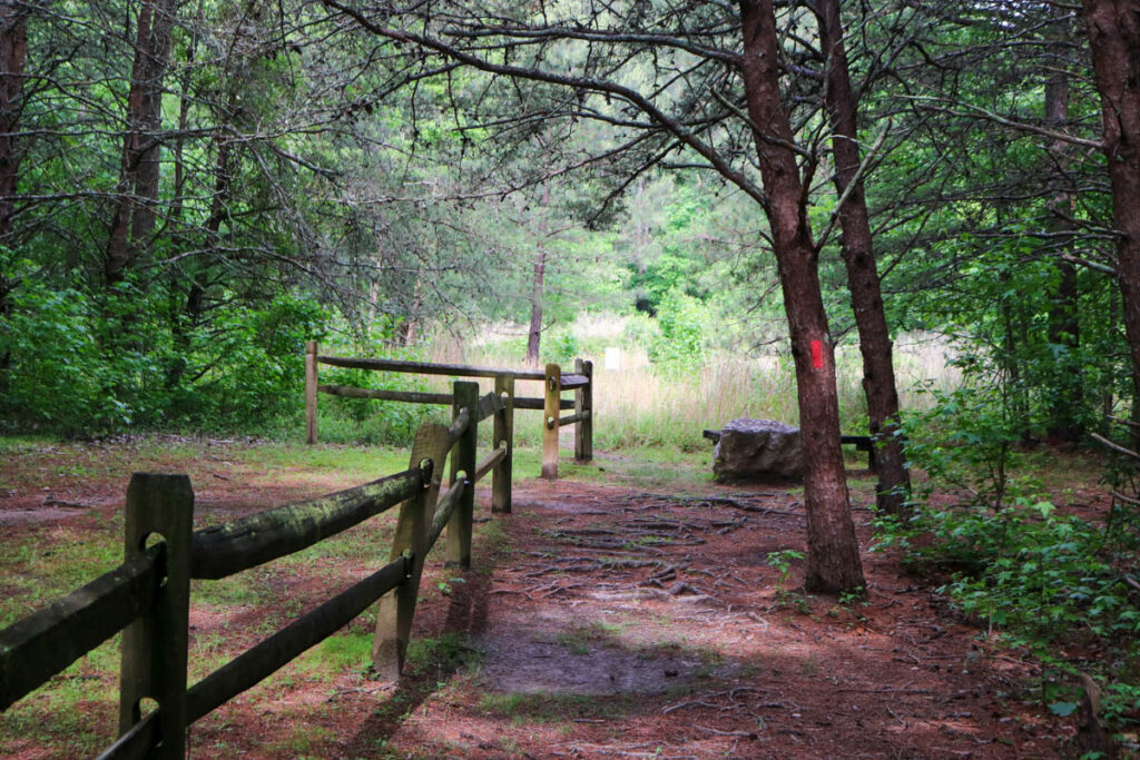 Stone Mountain Songbird Trail Entrance