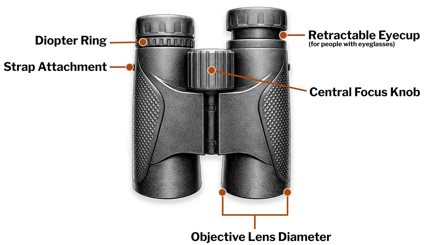Binocular Diagram