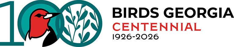Birds Georgia Centennial logo