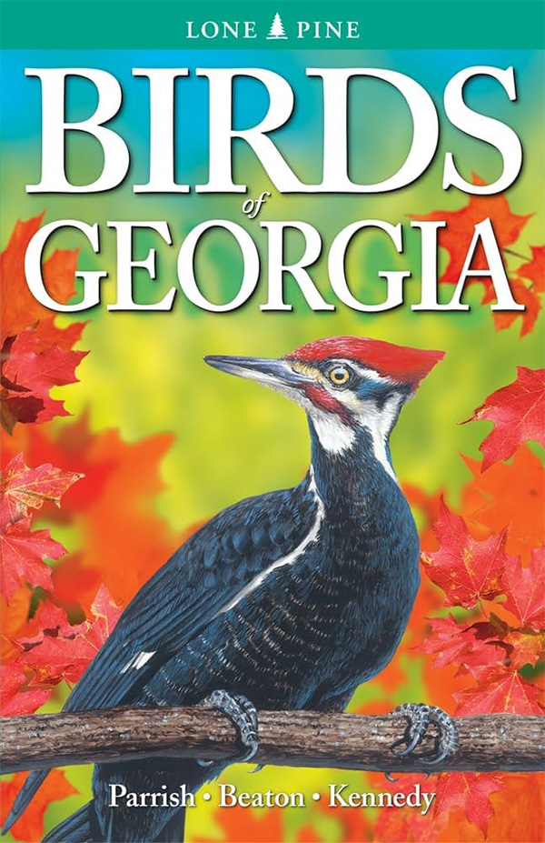 birds-of-georgia-field-guide Birds of Georgia Field Guide