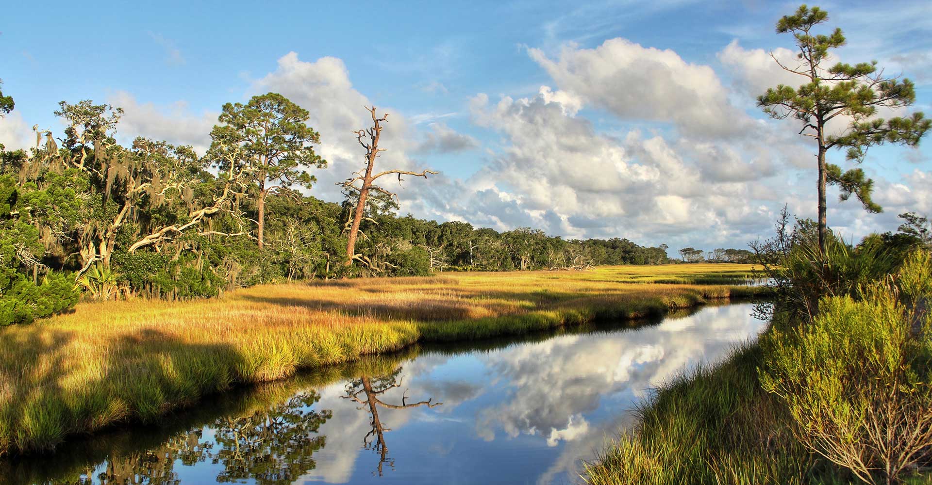 Jekyll Island Landscape