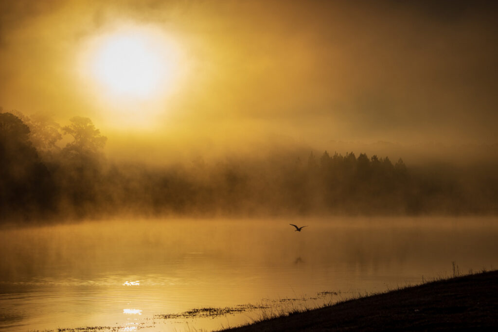 Sunrise at Willow Lake © Jay Payne