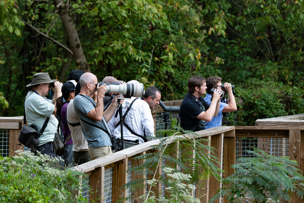 A group of intrepid birders follow a Birds Georgia guide. They were viewing the first recorded Marsh Wren at MCP! © A group of intrepid birders follow a Birds Georgia guide. They were viewing the first recorded Marsh Wren at MCP! © Steven Seligsohn