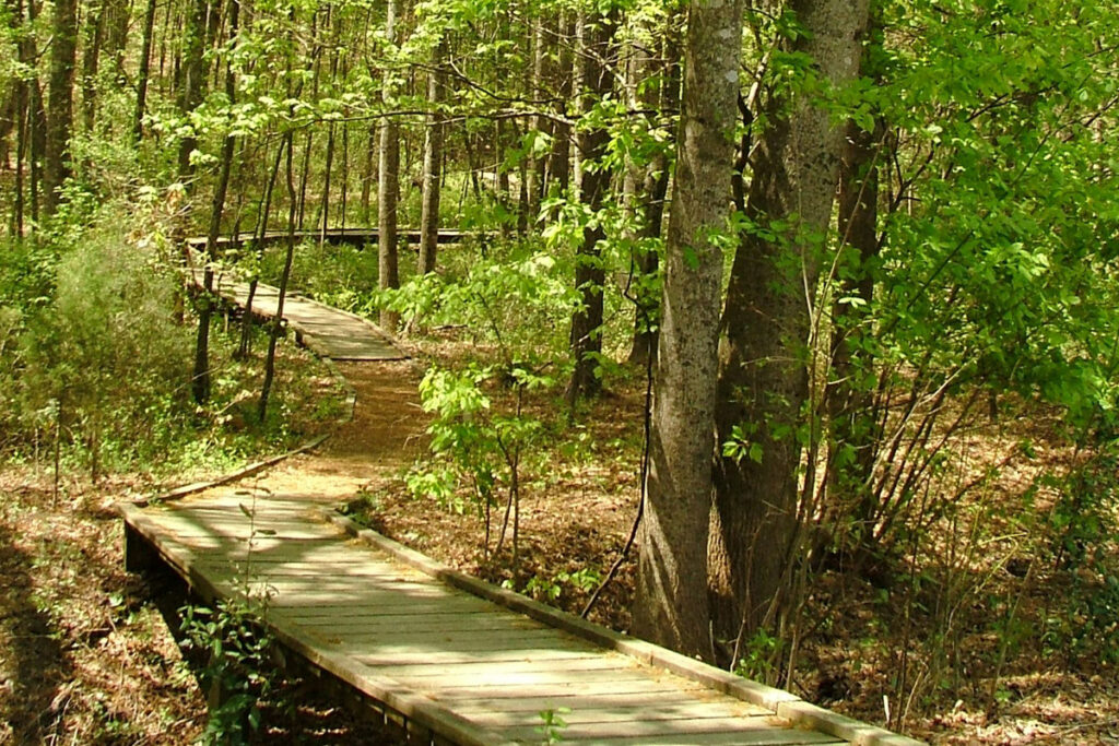 Boardwalk at Reynolds Nature Preserve