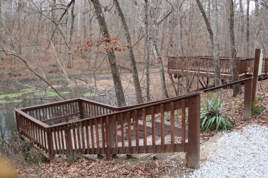 Platforms © Sara Micklos