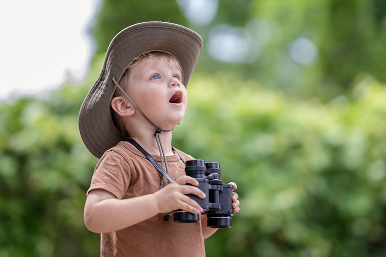 A young boy looks for birds in the forest