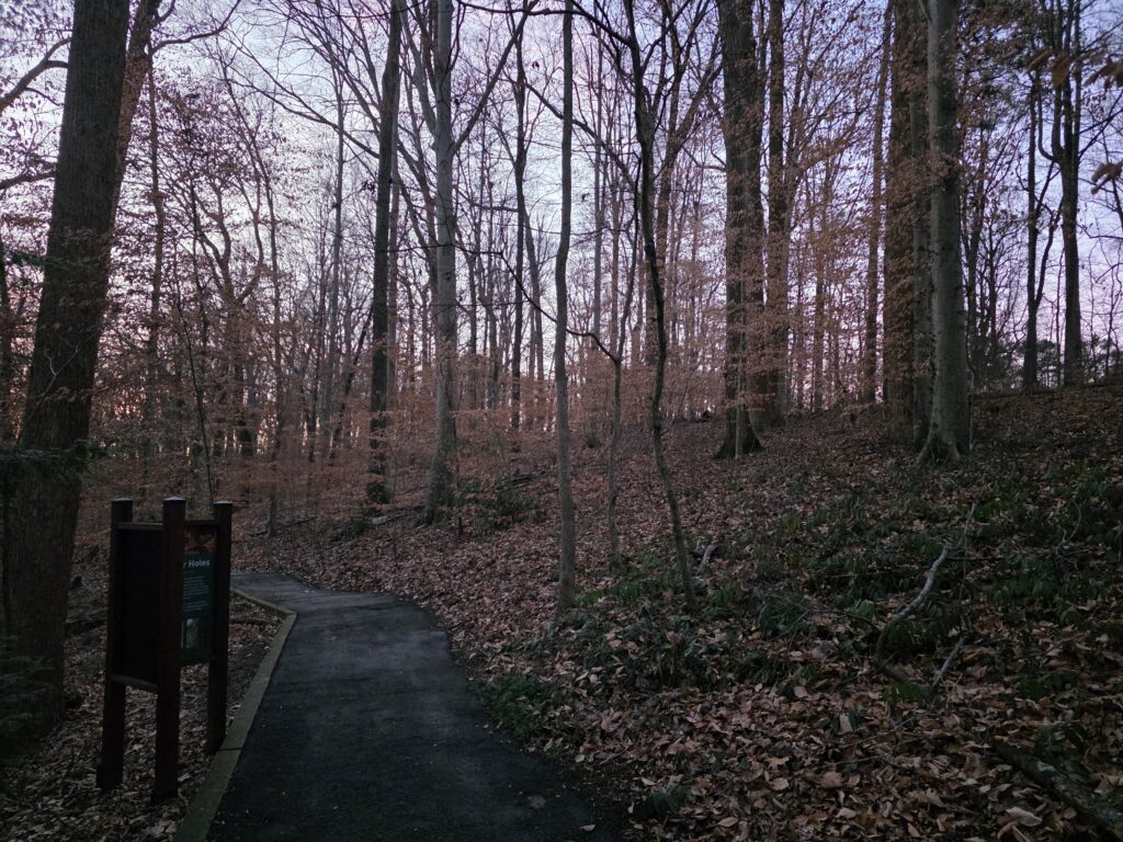 Heather Waringa Fernbank Trail3