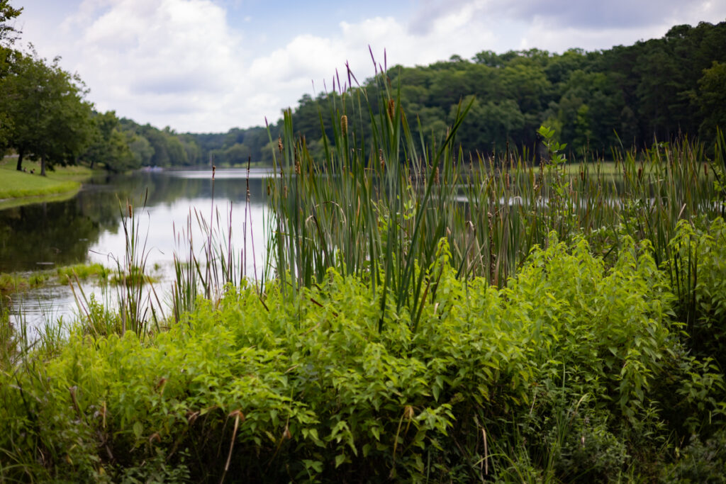 Alli Ruus James H. Floyd Lake