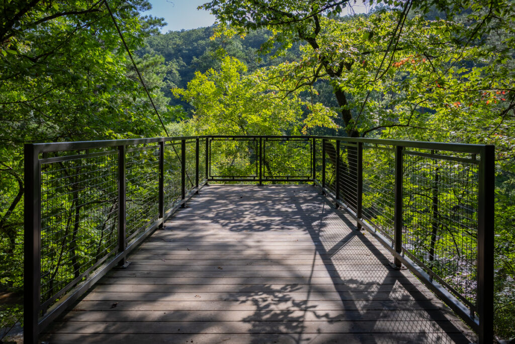 Alli Ruus Sweetwater Creek Overlook