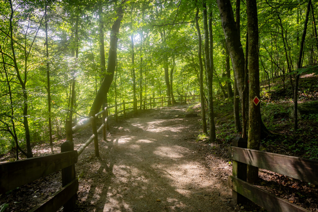 Alli Ruus Sweetwater Creek Red Trail