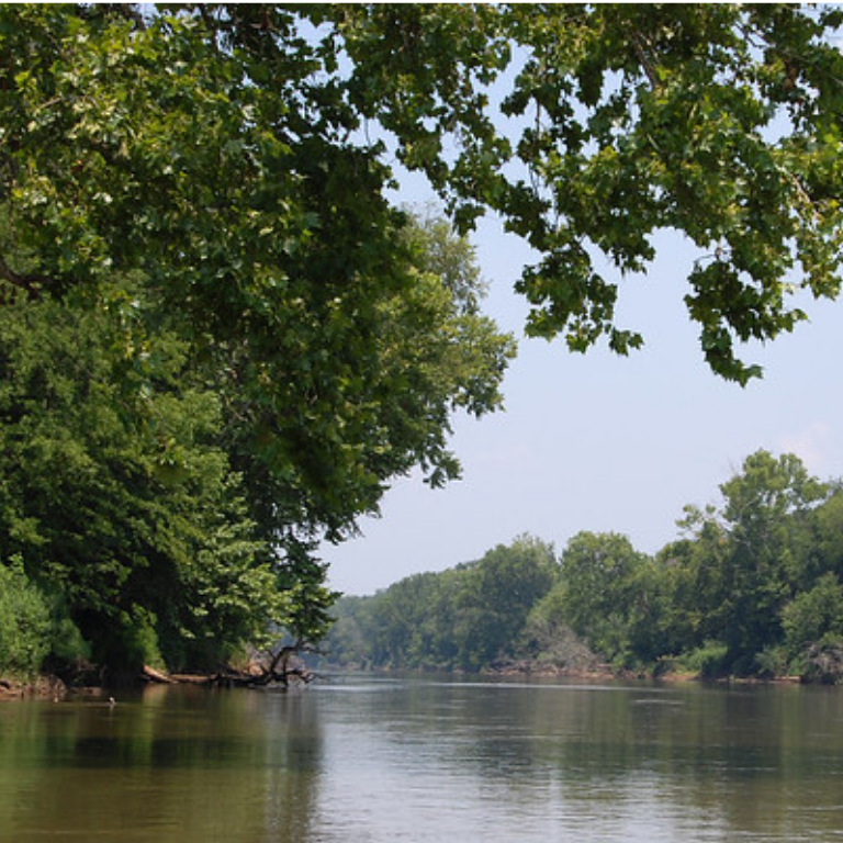 Chattahoochee Bend