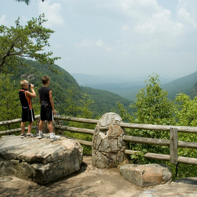 Two children look over Cloudland Canyon