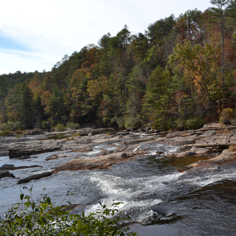 Dawson Forest Amicalola River view