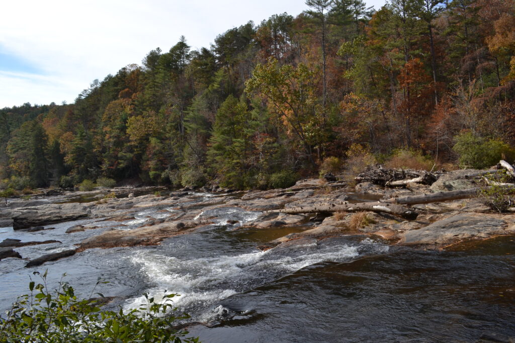 Dawson Forest WMA Amicalola River 3 (GaDNR)