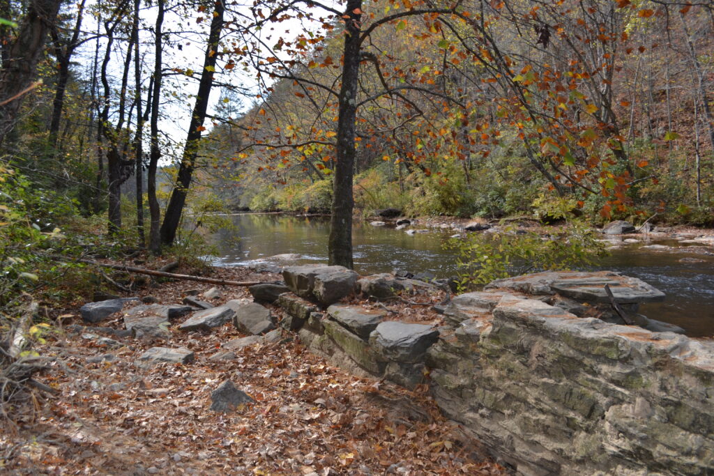 Dawson Forest WMA river trail 2 (GaDNR)