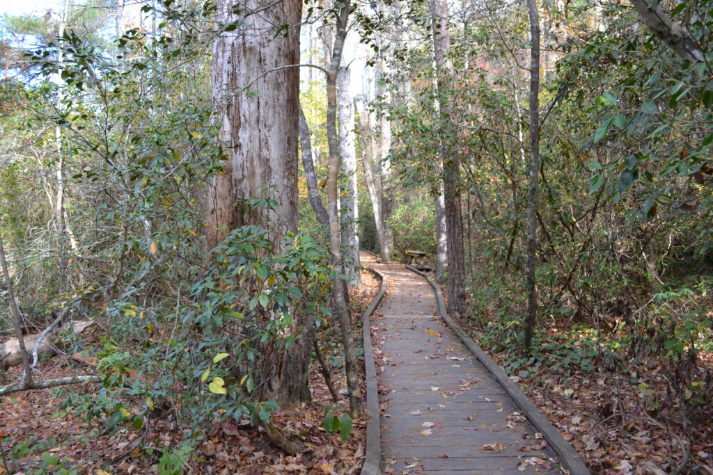 Dawson Forest WMA river trail 3 (GaDNR)