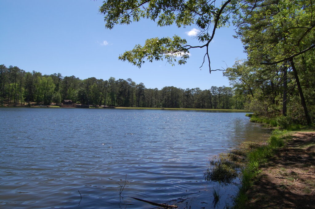 F.D. Roosevelt State Park Photo courtesy of Georgia State Parks and Historic Sites