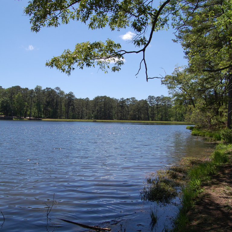 a lake at FD Roosevelt State Park