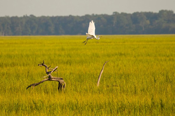 Fort McAllister State Park Photo Courtesy of Georgia State Parks and Historic Sites