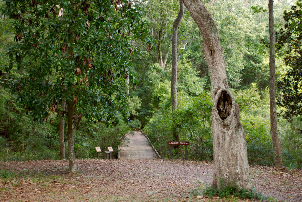 Fort Morris State Historic Site Photo Courtesy of Georgia State Parks and Historic Sites