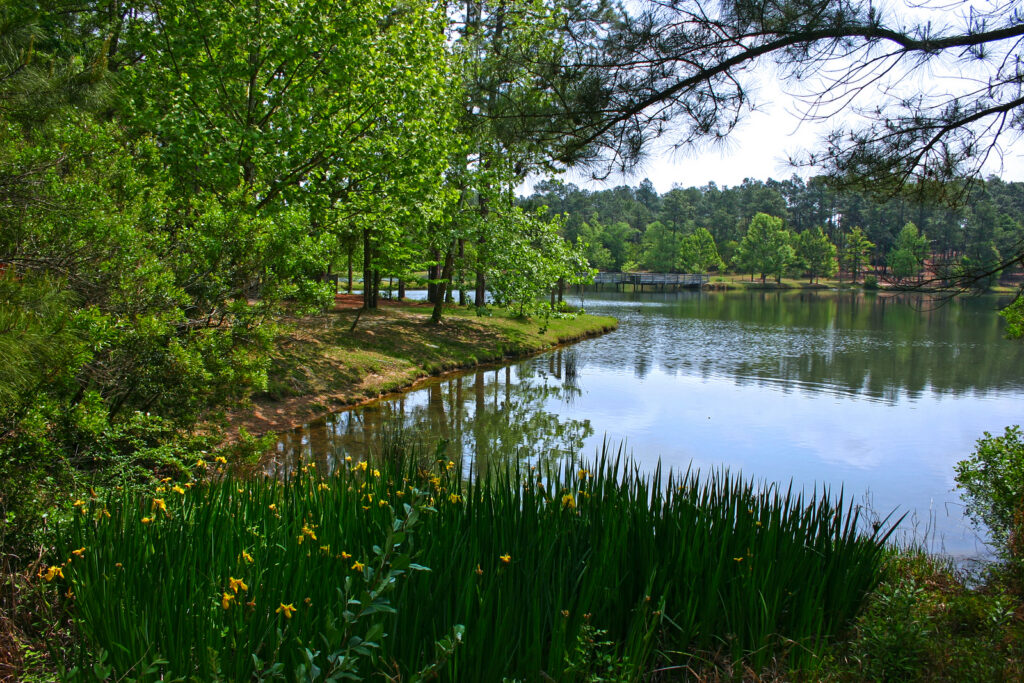 General Coffee State Park Photo Courtesy of Georgia State Parks and Historic Sites
