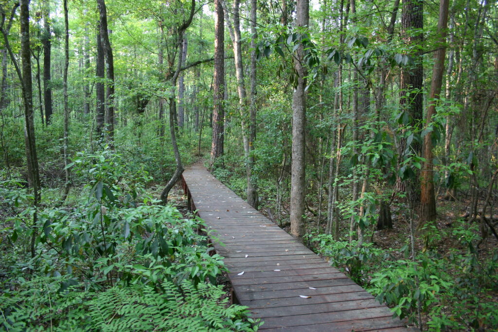 General Coffee State Park Photo Courtesy of Georgia State Parks and Historic Sites