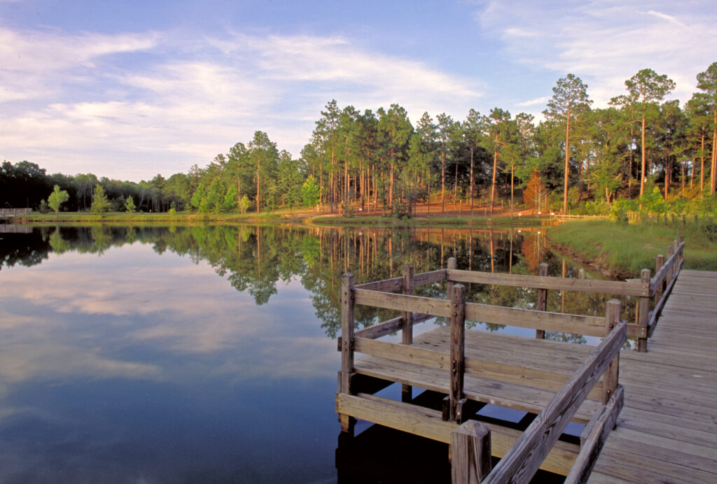 General Coffee State Park Photo Courtesy of Georgia State Parks and Historic Sites