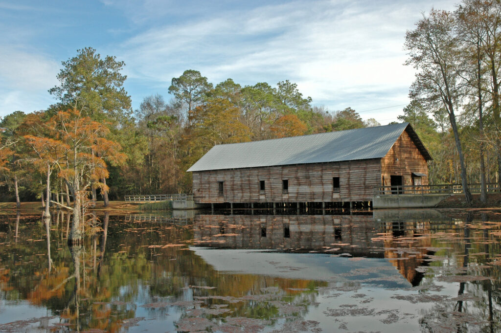 George L. Smith State Park Photo Courtesy of Georgia State Parks and Historic Sites