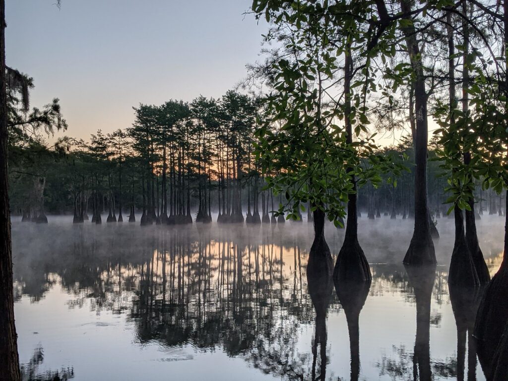 George L. Smith State Park Photo Courtesy of Georgia State Parks and Historic Sites