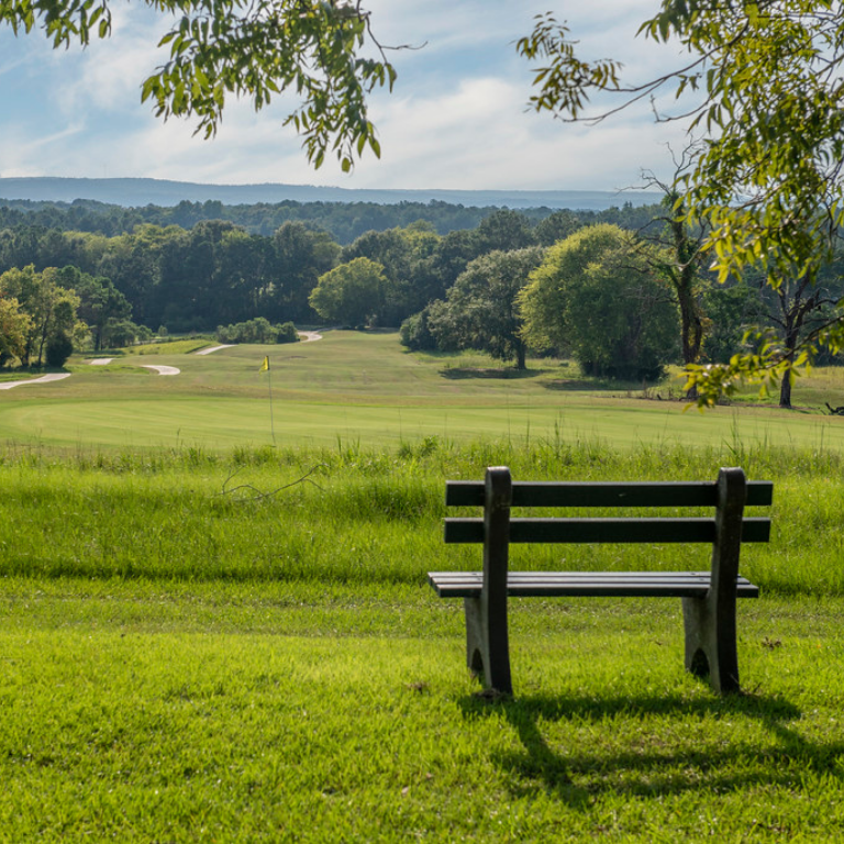 A bench at George T Bagby State Park overlooking a golf course