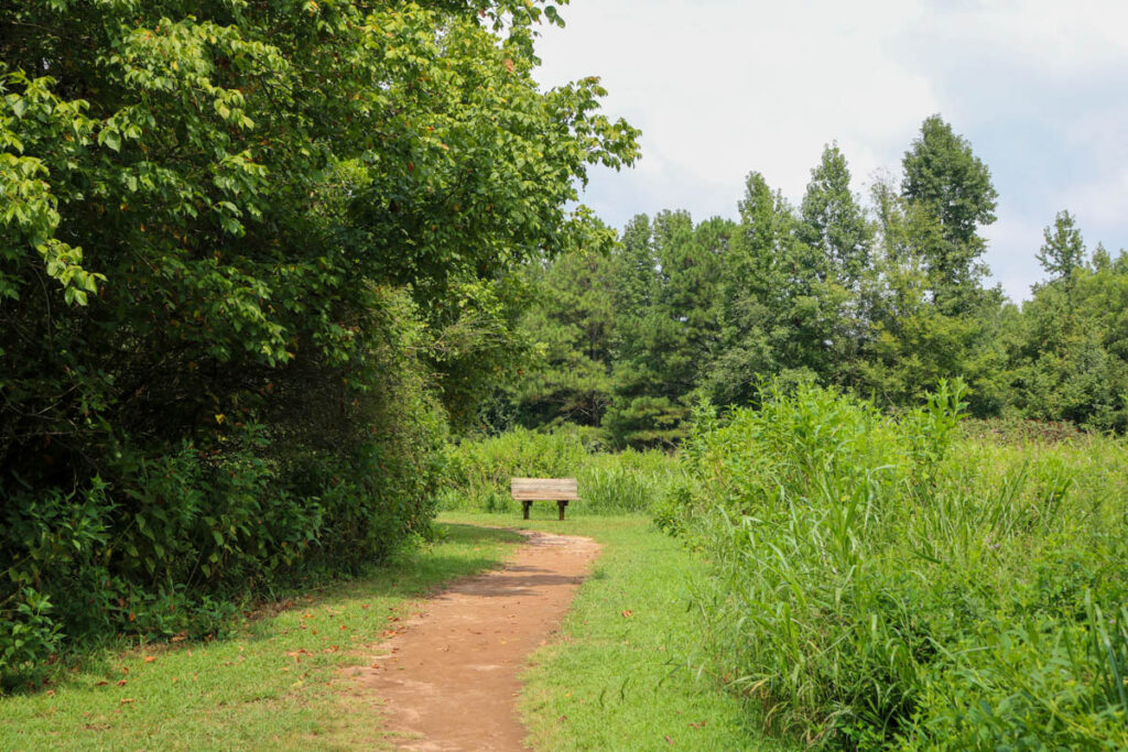 Green Meadows Sara Micklos Trail2