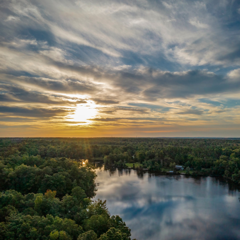 Hamburg State Park aerial view of trees and river