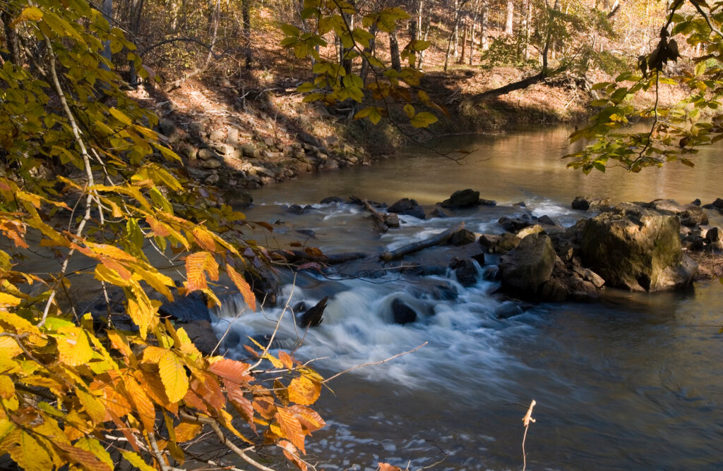 Hard Labor Creek State Park Photo Courtesy of Georgia State Parks and Historic Sites