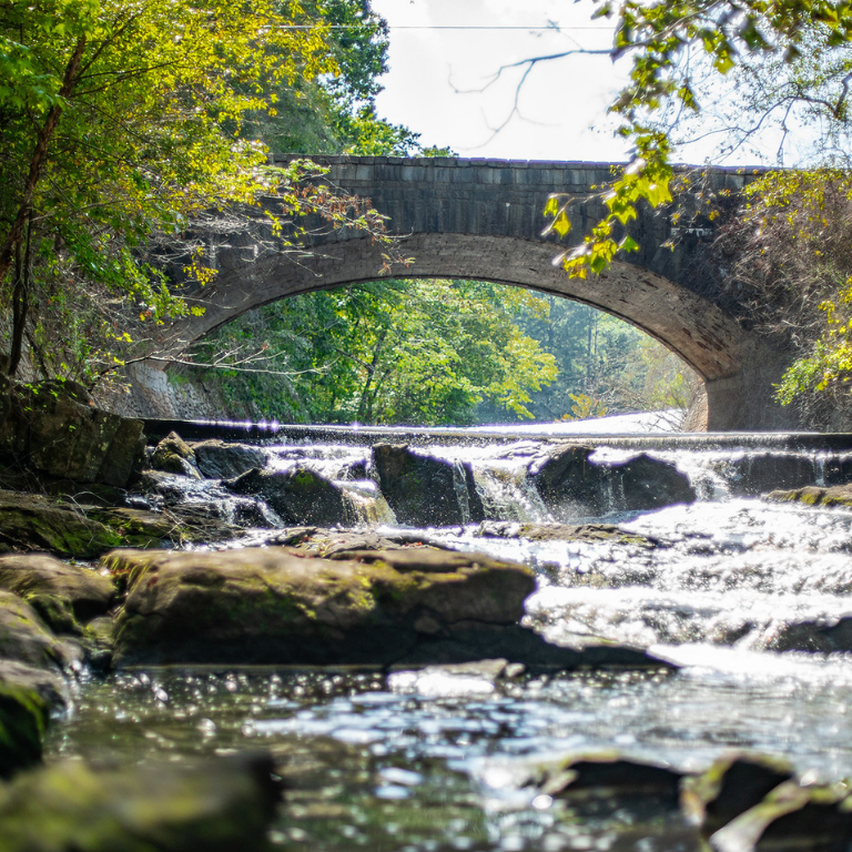 Bridge and Creek at Hard Labor Creek