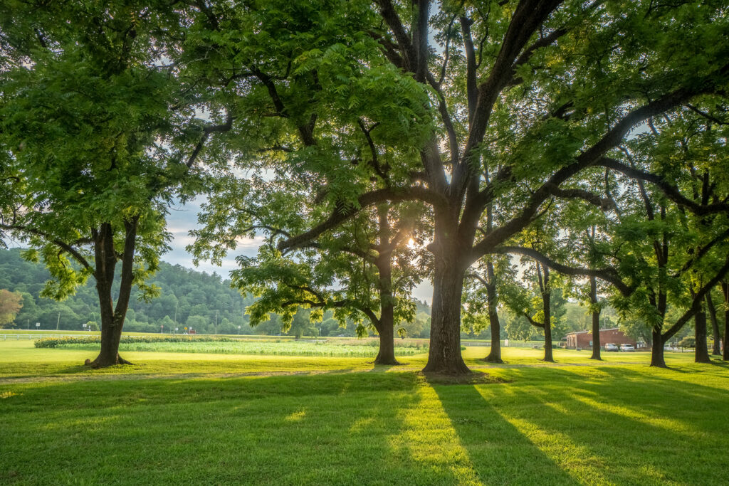 Hardman Farm State Historic Site Photo Courtesy of Georgia State Parks and Historic Sites
