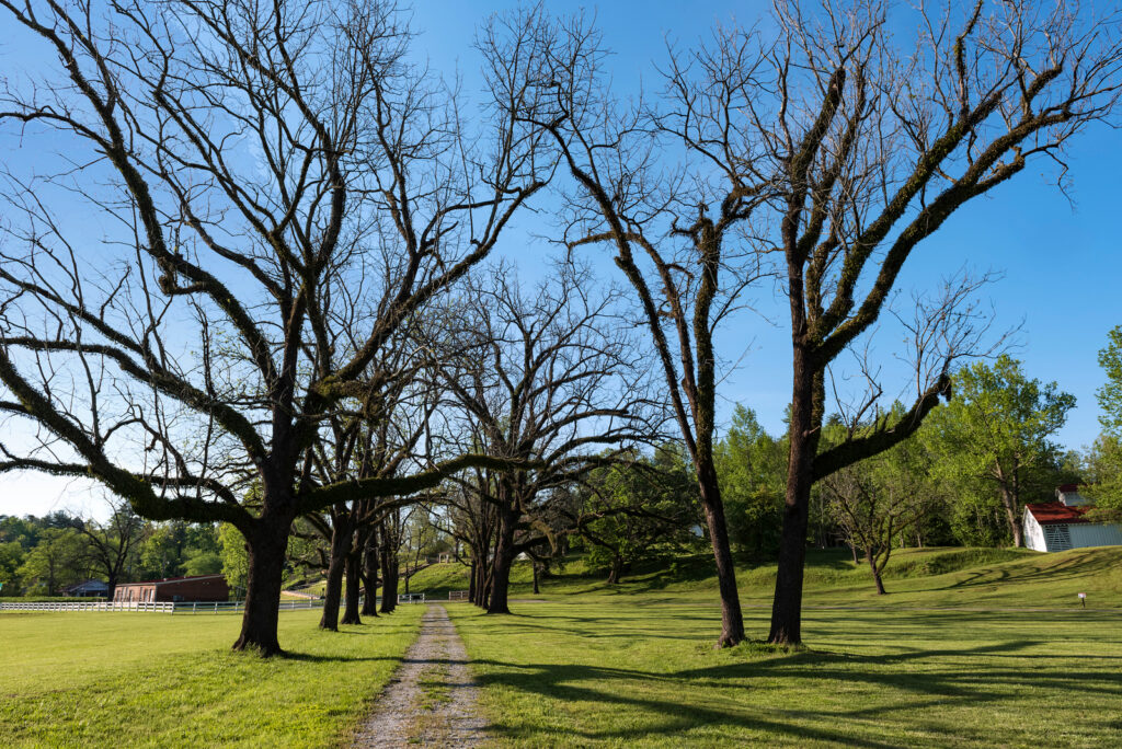Hardman Farm State Historic Site Photo Courtesy of Georgia State Parks and Historic Sites