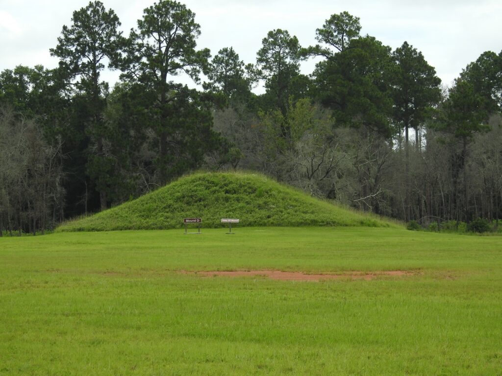 JOHN MAYES KOLOMOKI MOUNDS MOUND D
