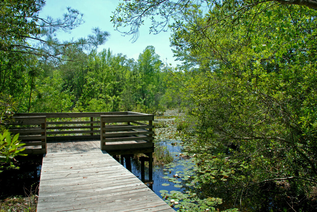 Jack Hill State Park Photo Courtesy of Georgia State Parks and HIstoric Sites