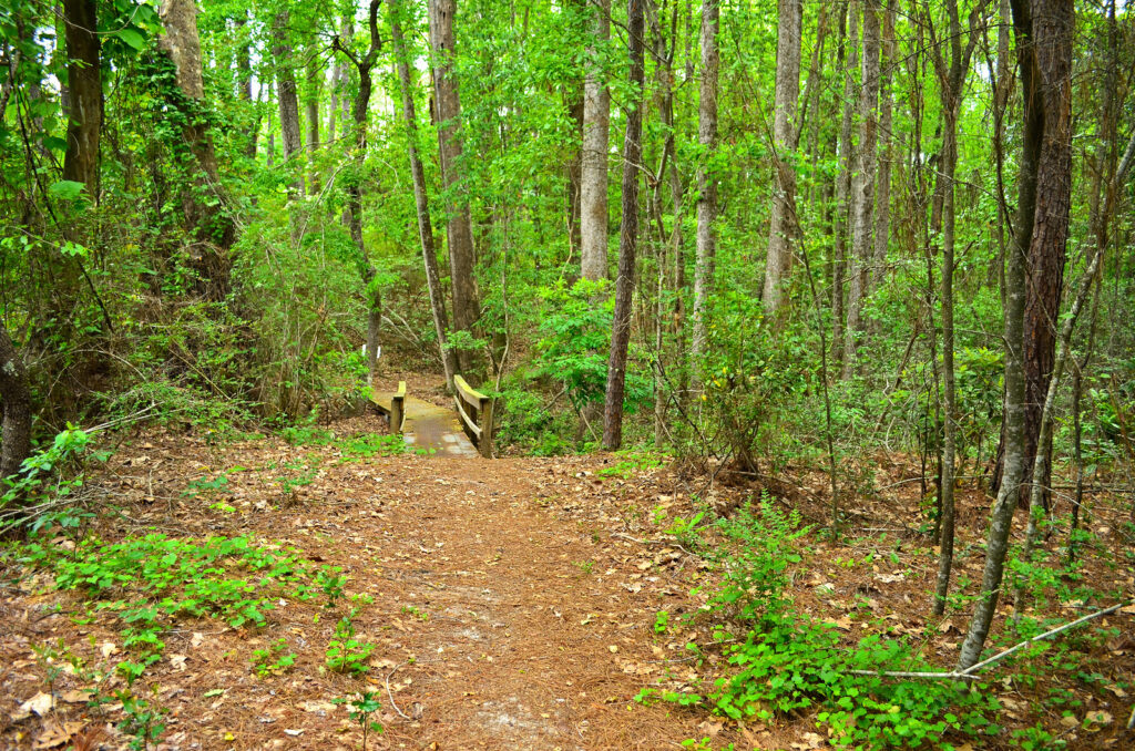 Jack Hill State Park Photo Courtesy of Georgia State Parks and HIstoric Sites